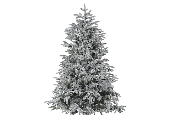 Kerstboom Nordmann 2,5 mtr met kunstsneeuw