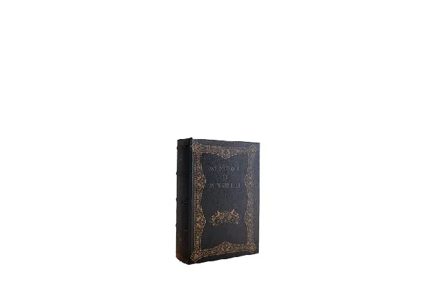 Sculptuur boek scientifique et industrielle