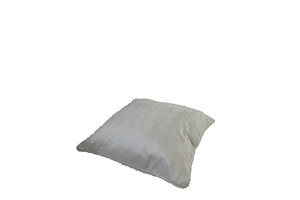 Kussen wit (fluweel)