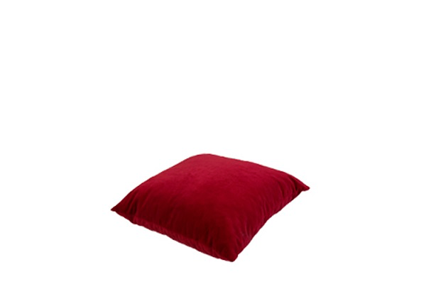 Kussen rood