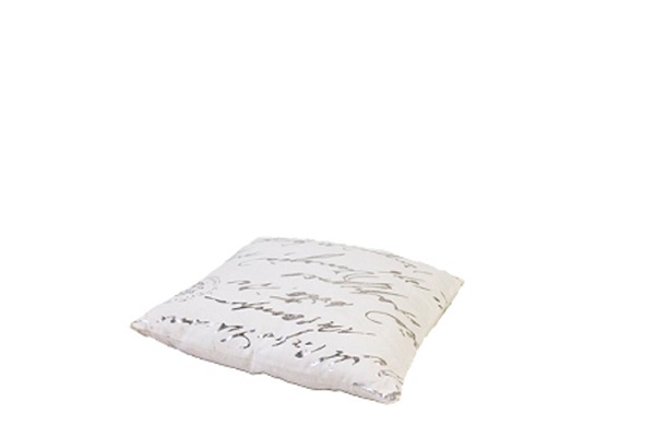 Kussen zilver/wit