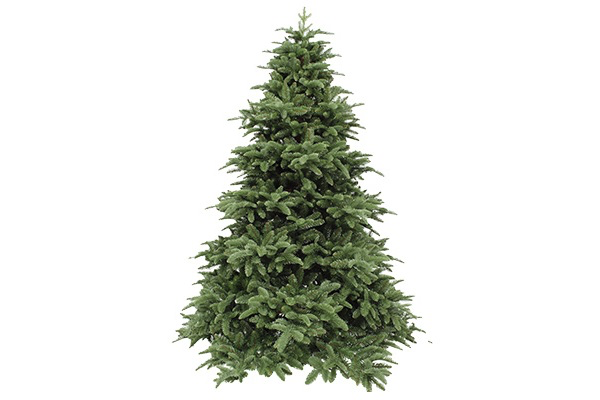Kerstboom Nordmann 2,5 mtr